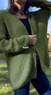 Hackney Cardigan by We Are Knitters - English, French, Italian, German, Spanish