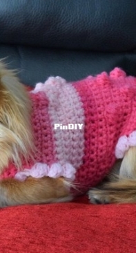 Eva Knit Wear - Eva Jones - Crochet Dress with Bubbles for Small chihuahua