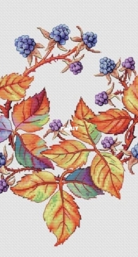 Blackberry - Elena Roshchupkina