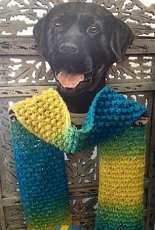 Fantastic Blackberry Stitch Scarf by Sule Kaya-Free