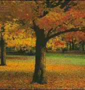 Mystic stitch FL-06 Autumn Peace
