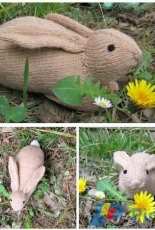 lapin