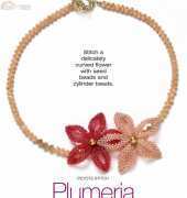 B&B Extra December 2013