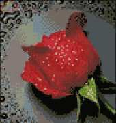 Diamond Art SP-14 Red Rose