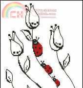 Tani211 - Mono with ladybirds