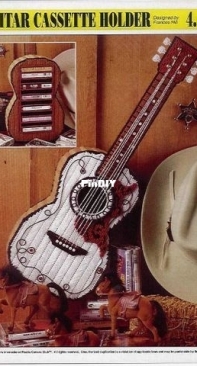 Guitar Cassette Case Holder Plastic Canvas. 4 Home Decor