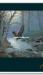 Krif 1746 - Spring Flight