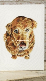 Mans Best Friend - Dog Portrait by Jenny Barton from Cross Stitch Gold 122 XSD