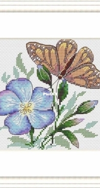 M.P. Studio - Chicory and Butterfly