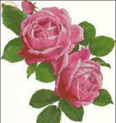 The Silver Lining SL136 Queen of Roses