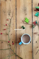 Everlasting Autumn Branch by Claire Garland Free