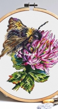 Clover and Bee by Irina Zagorodskaya