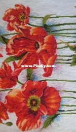 watercolor poppies