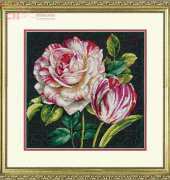Dimensions 70-35314 - Tulip Drama