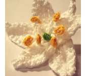 Meli Bondre - Camelia Shanahan - Kerry Lily Flower - Free