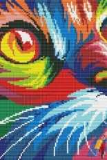 Rainbow Cat by Svetlana Besolova / Norsvet XSD