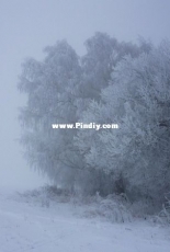 Snow and fog