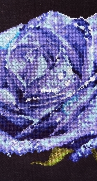 Blue Rose DMC - Blue Flower