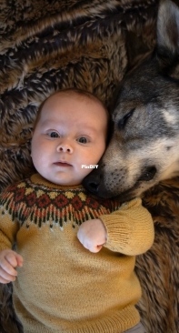Baby-Hopi by Linka Neumann-English