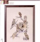 OOE 84845 - Eyes Of The Owl
