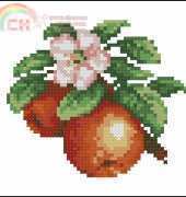 Apples from Hafty Polskie 2008.12 XSD