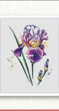 Watercolor Iris by Lyubov Vodenikova
