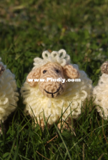 Sheep in the garden
