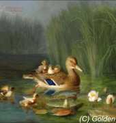 Golden Kite GK 1233 - Wild Duck with its Ducklings