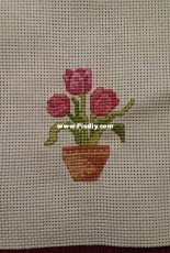 Flower in the pot