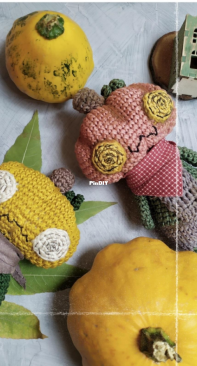 Petit Cutie - Olga Khokhlova - Mr. Pumpkin
