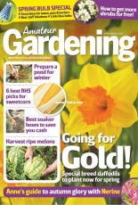 Amateur Gardening - 08 September 2018