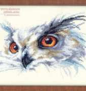 Owls