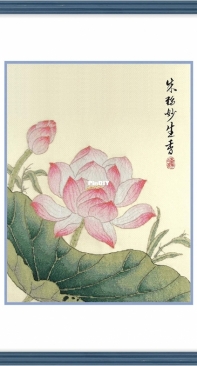 Xiu Crafts 2031904 Lotus XSD