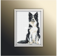 Light Unicorn Designs - Border Collie 9