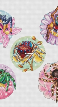 Funny Spiders by Anna Korolkova