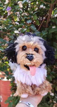 realistic dog