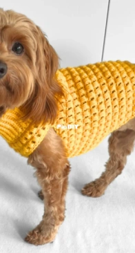 Lottie and Lulu crochet - Beth Derham - Puff Stitch Dog Jumper