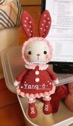Mimi the little bunny