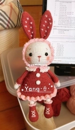Mimi the little bunny