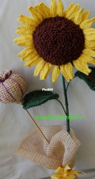 sunflower and poppy seed