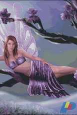 HAED HAE RAET 114 Violet by Rachael Tallamy