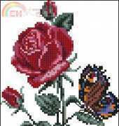 Zolotoe Runo B-014 Bottonholes with roses