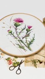 Embroidery Thistle
