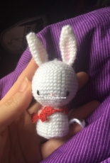 Animals - Bunny