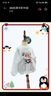 A spliced hoodie made for my son