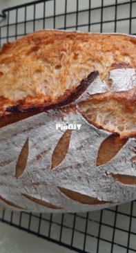 Sourdough