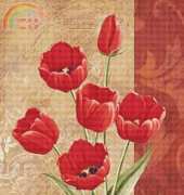 I Love CrossStitch ILCS CK-002 Bold Trimmings II