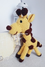 Baby giraffe