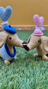 Dachshunds in love