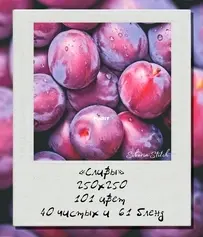 Siberia Stitch - Plums